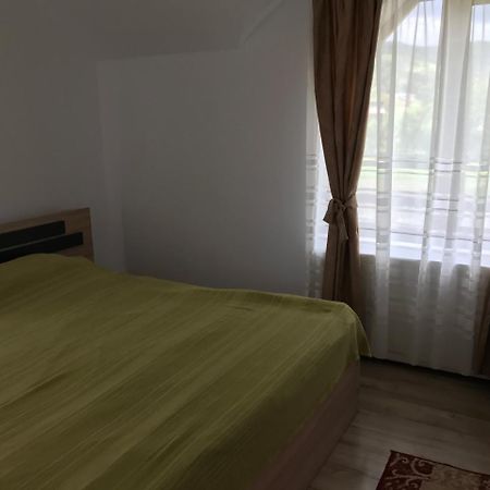 Casa Deea Hotel Capatineni-Paminteni Екстериор снимка