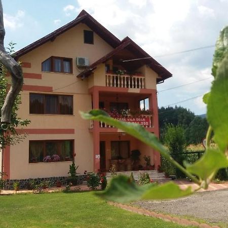 Casa Deea Hotel Capatineni-Paminteni Екстериор снимка