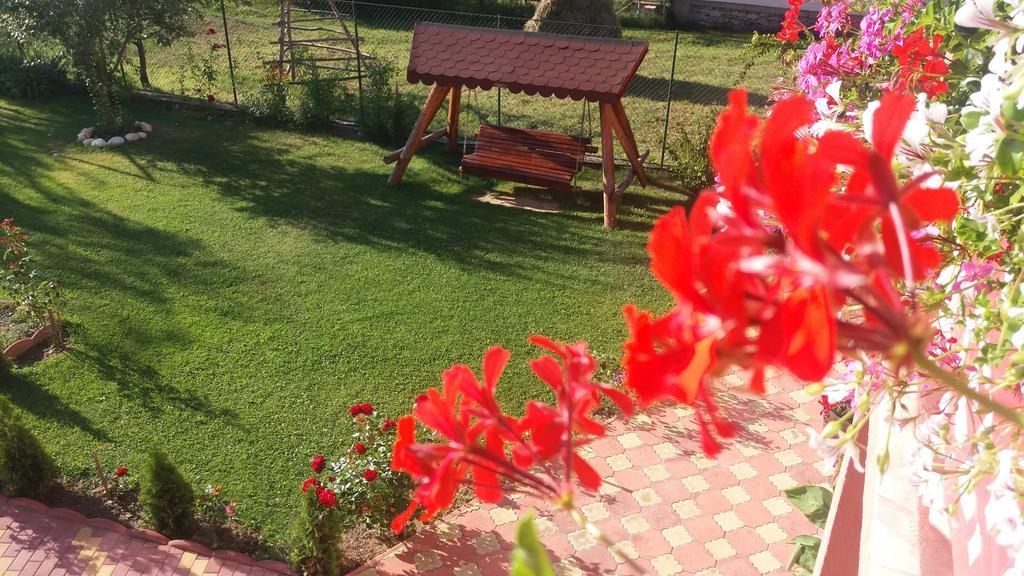 Casa Deea Hotel Capatineni-Paminteni Екстериор снимка