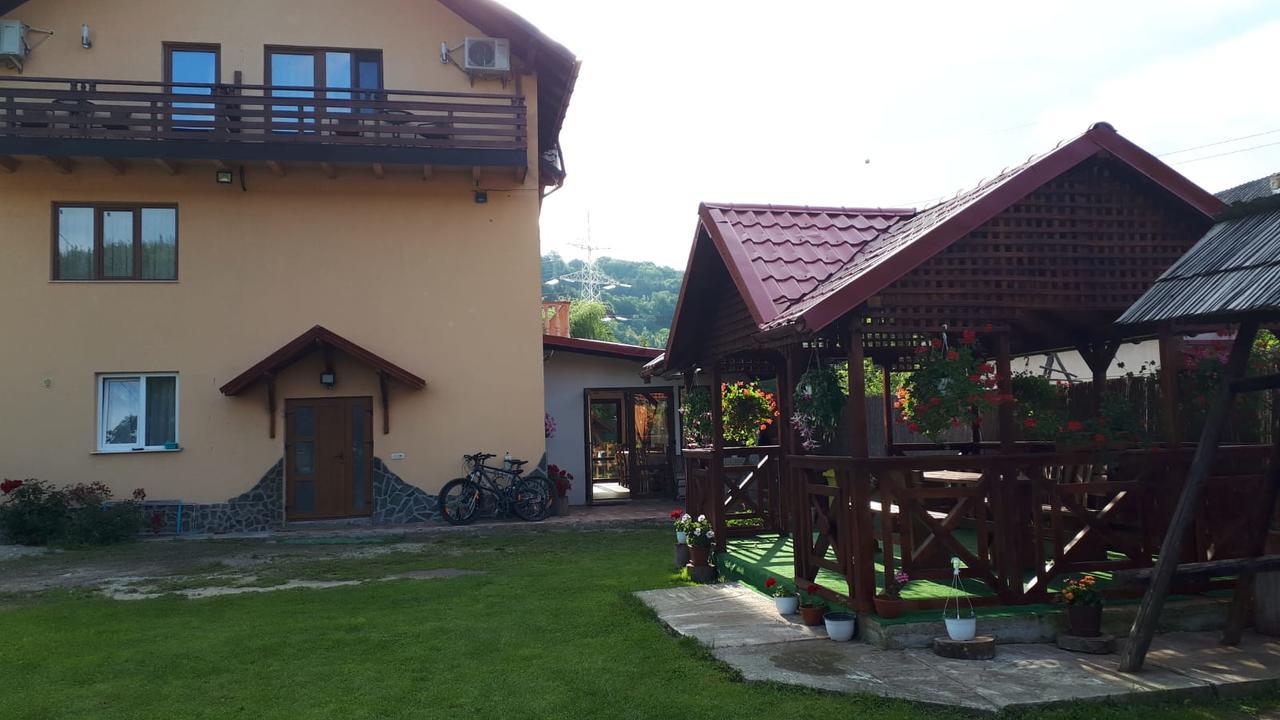 Casa Deea Hotel Capatineni-Paminteni Екстериор снимка