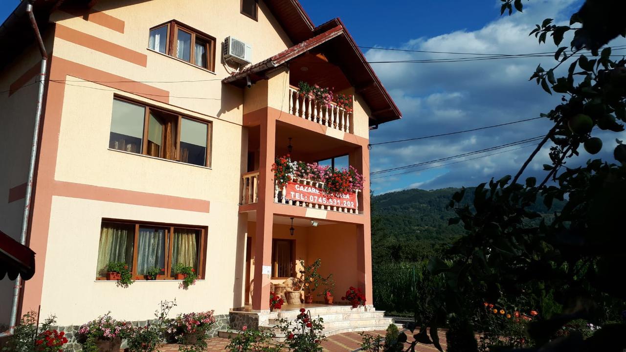 Casa Deea Hotel Capatineni-Paminteni Екстериор снимка